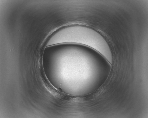 X0000080660064200612150746