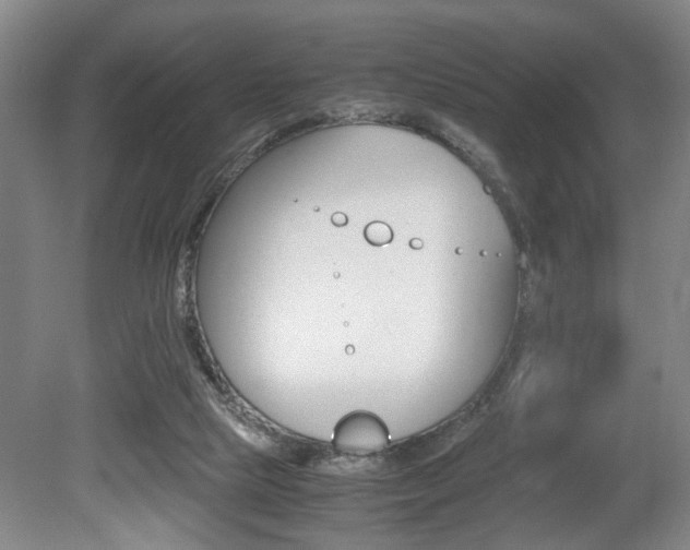 X0000080660065200612150746
