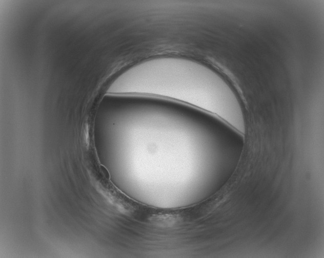X0000080660067200612150746