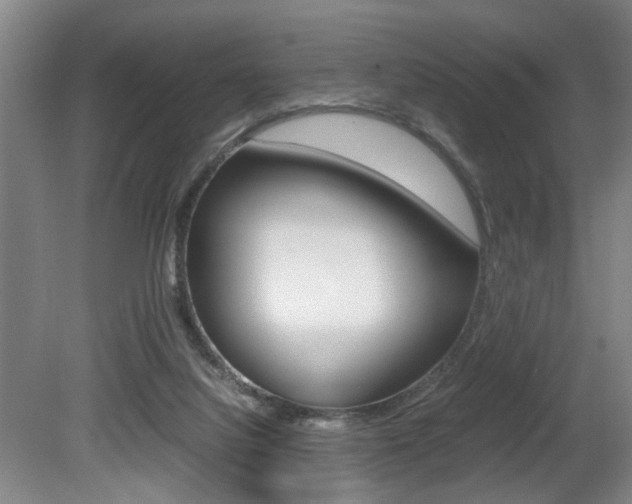 X0000080660068200612150746
