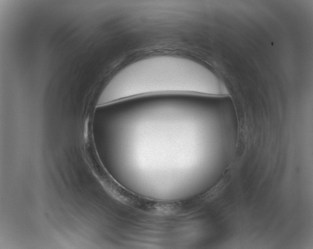 X0000080660070200612150746