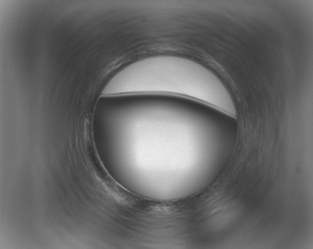 X0000080660071200612150746
