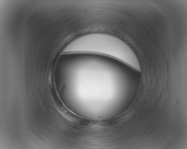 X0000080660072200612150746