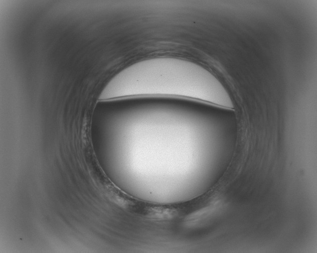 X0000080660073200612150746