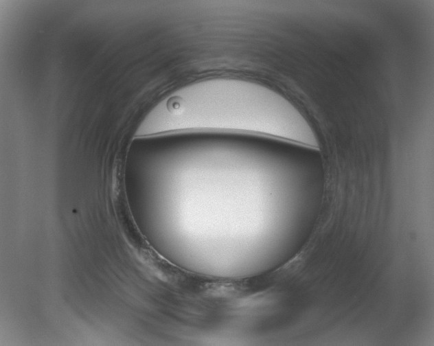 X0000080660074200612150746