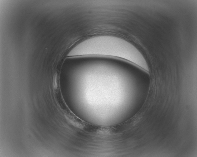 X0000080660076200612150746