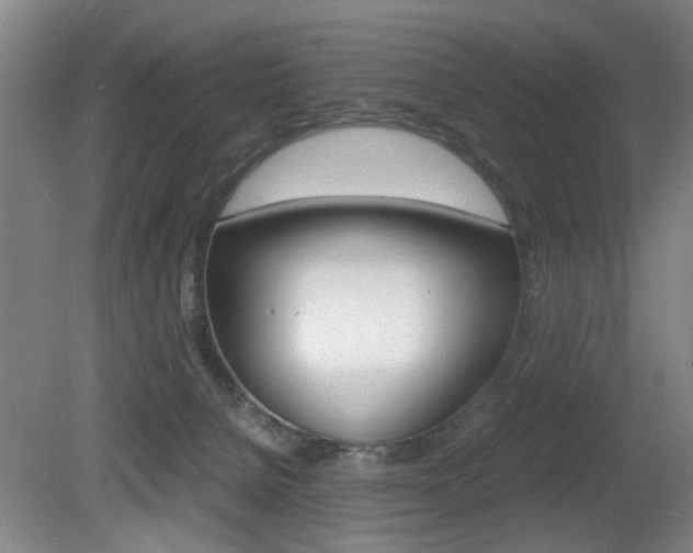 X0000080660080200612150746