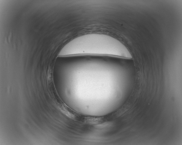 X0000080660081200612150746
