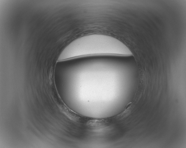 X0000080660082200612150746