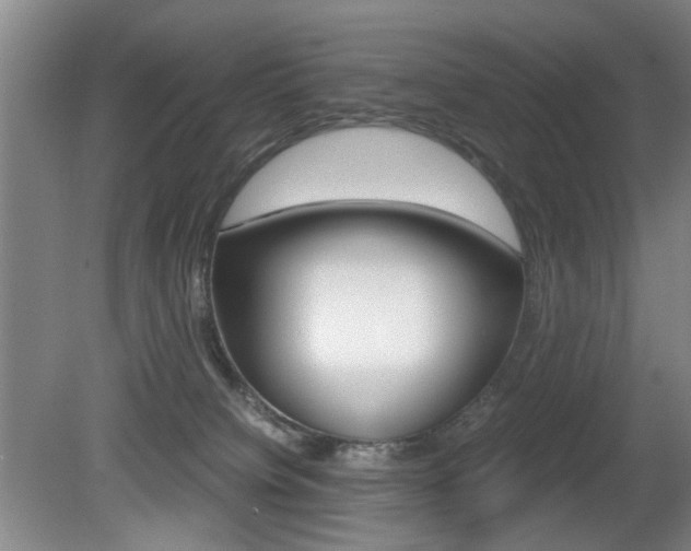 X0000080660084200612150746