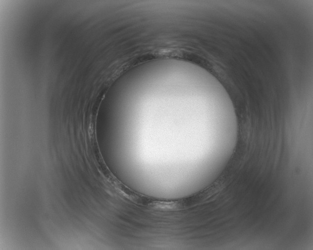 X0000080660085200612150746