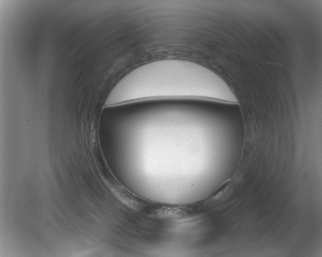 X0000080660086200612150746