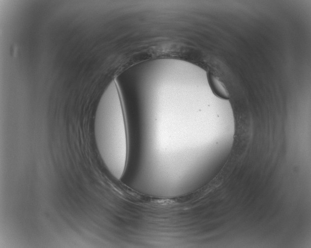 X0000080660087200612150746