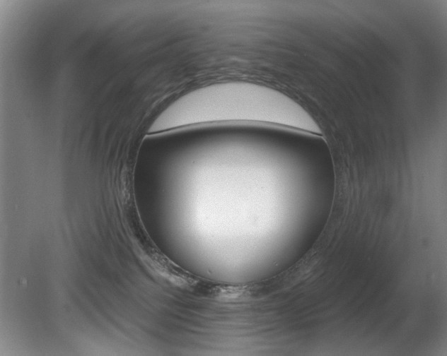 X0000080660088200612150746
