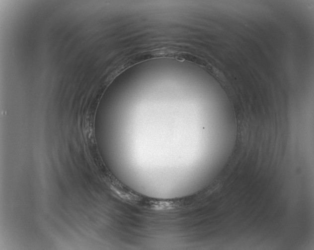 X0000080660091200612150746