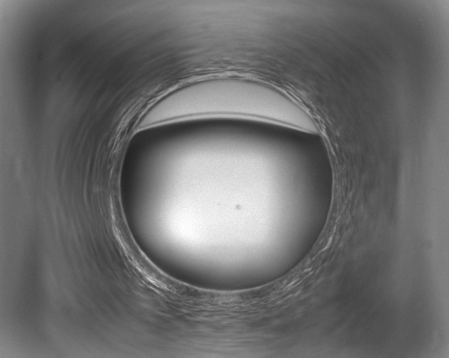 X0000080660097200612150746