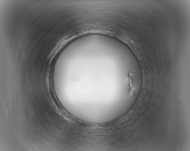 X0000080660098200612150746