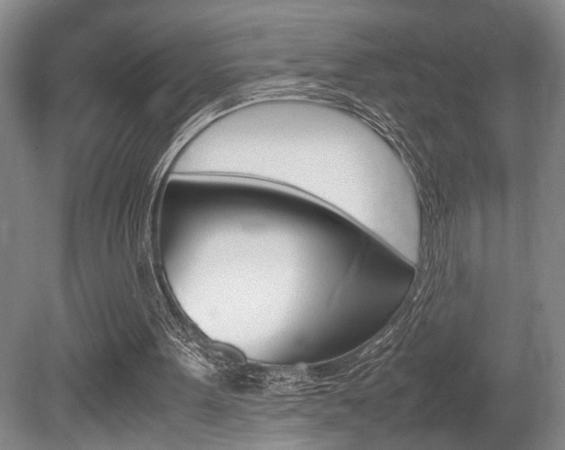 X0000080660099200612150746