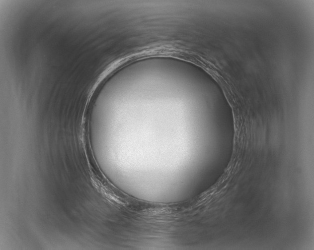 X0000080660100200612150746