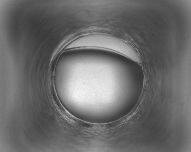 X0000080660101200612150746