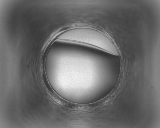 X0000080660103200612150746