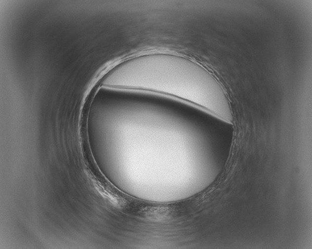 X0000080660104200612150746