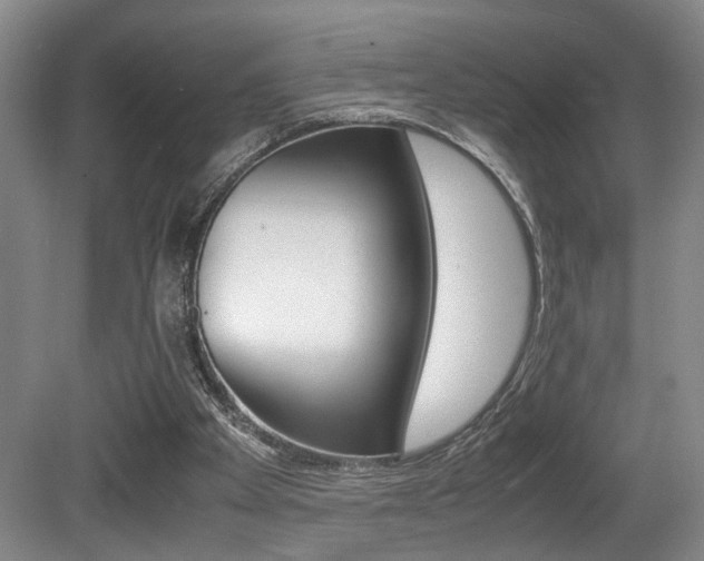 X0000080660105200612150746