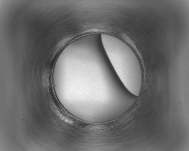 X0000080660106200612150746