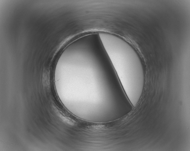 X0000080660108200612150746