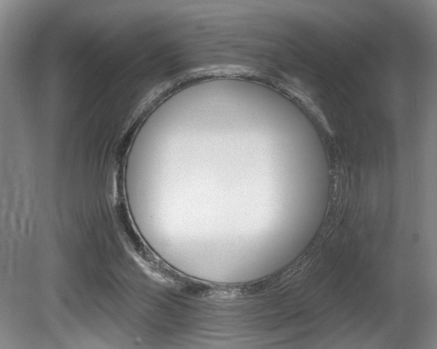 X0000080660110200612150746