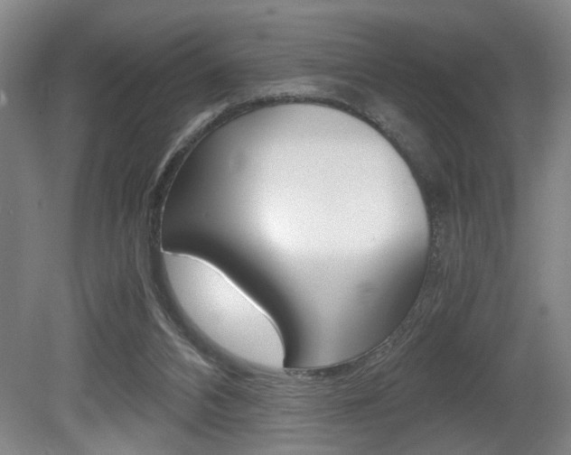 X0000080660112200612150746