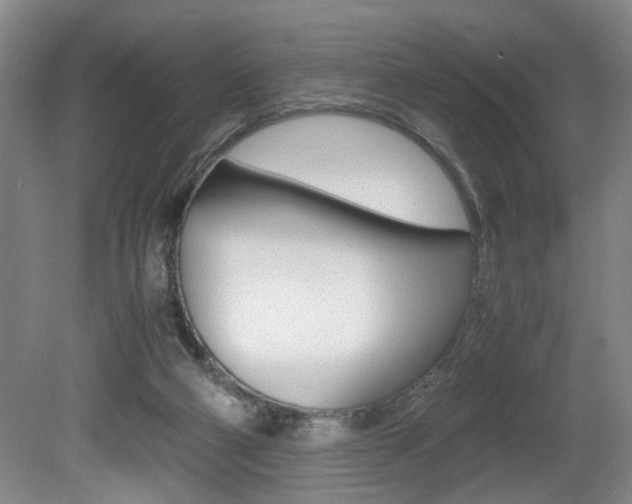 X0000080660114200612150745