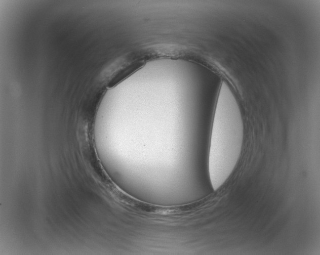 X0000080660117200612150745