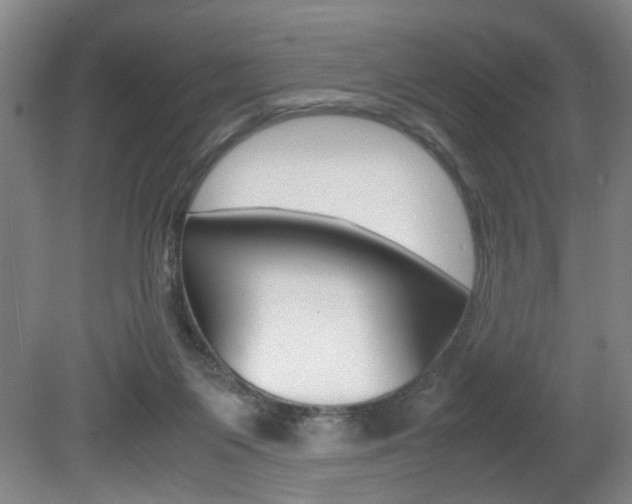 X0000080660119200612150745