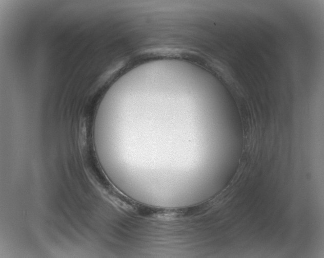 X0000080660120200612150745