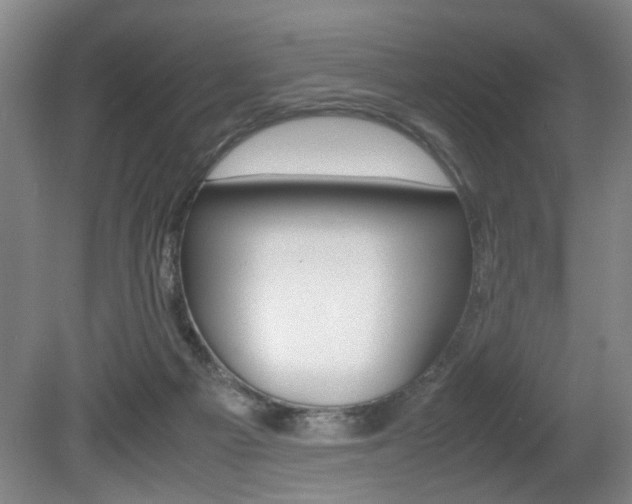 X0000080660121200612150745