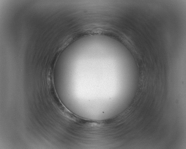 X0000080660122200612150745