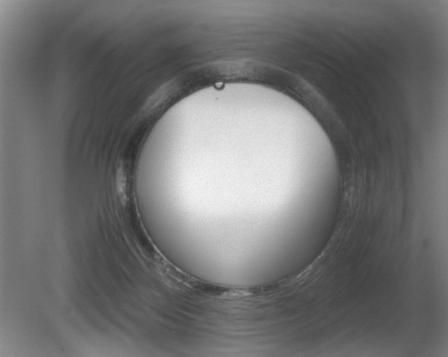 X0000080660124200612150745