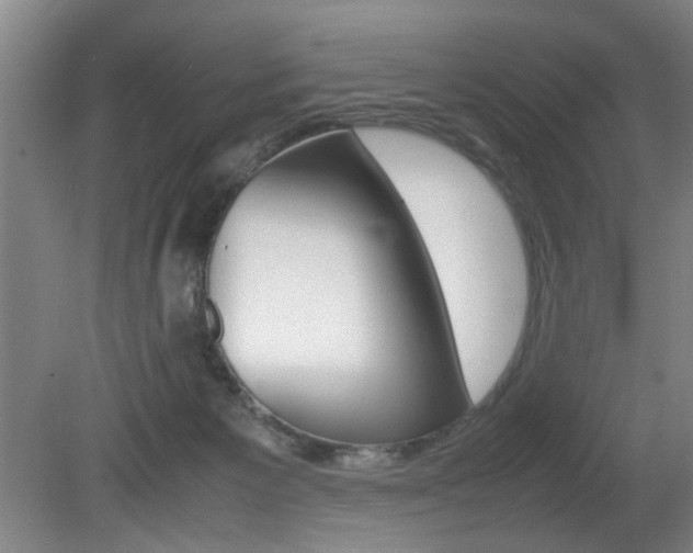 X0000080660125200612150745