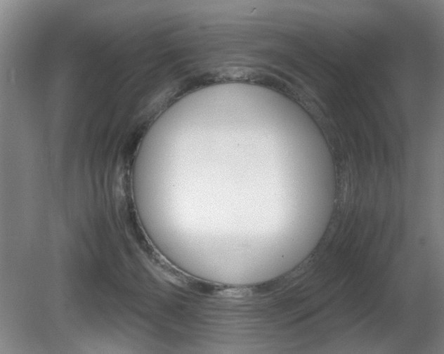 X0000080660126200612150745