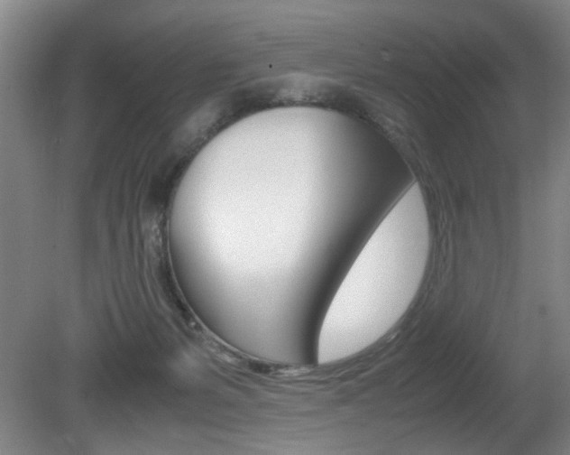 X0000080660127200612150745