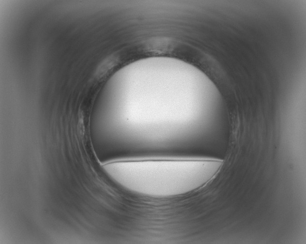 X0000080660128200612150745