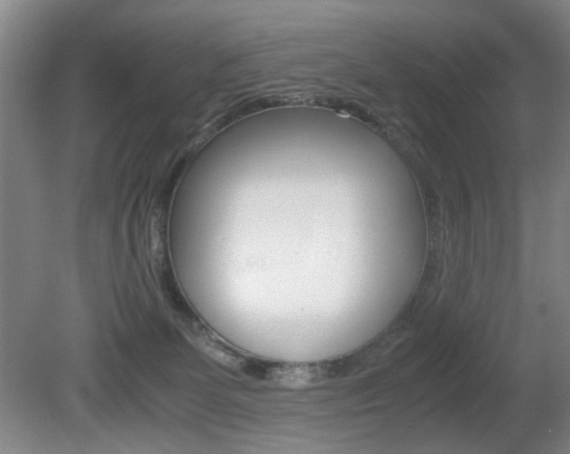 X0000080660131200612150745