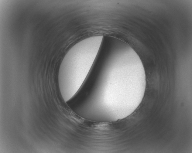X0000080660132200612150745