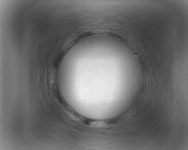 X0000080660133200612150745