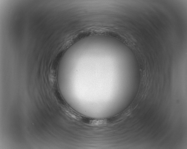 X0000080660135200612150745