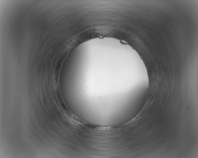 X0000080660136200612150745