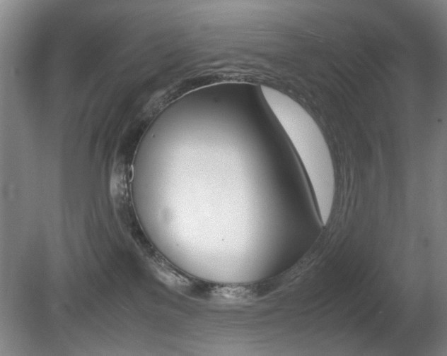 X0000080660137200612150745
