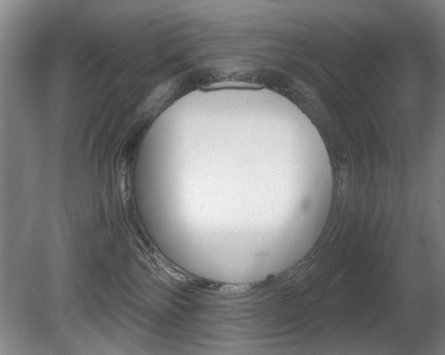 X0000080660138200612150745