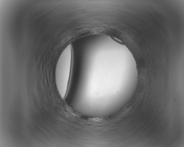 X0000080660139200612150745